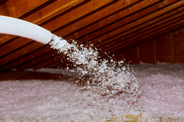 Best Commercial Insulation in Dodson Branch, TN