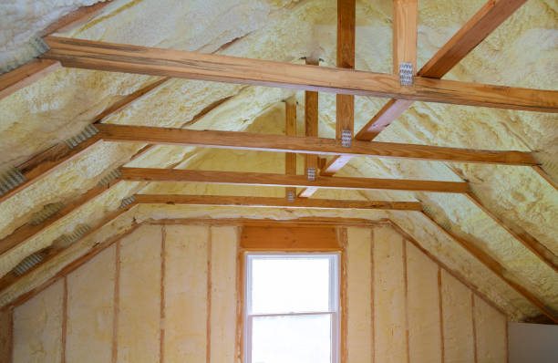 Best Blown-in Insulation in Dodson Branch, TN